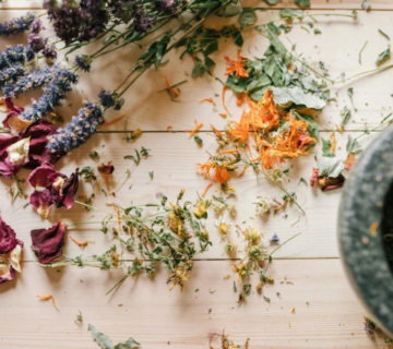 Holistic Medicine 101 cover 360x320